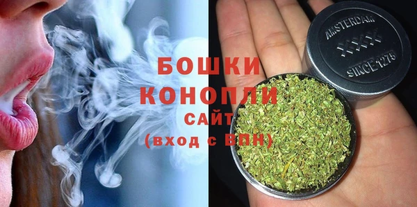 крисы Верея