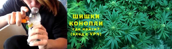 крисы Верея