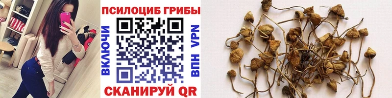 Галлюциногенные грибы прущие грибы  Купить закладки  Новоуральск 