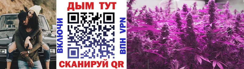 Купить закладки  Новоуральск  Конопля гибрид 